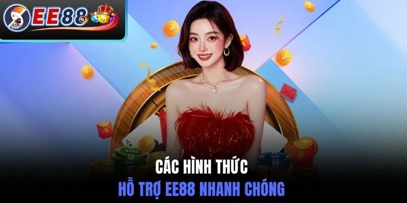 Các hình thức hỗ trợ EE88