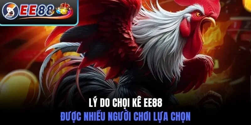 Lý do chọi kê EE88 được nhiều người chơi lựa chọn